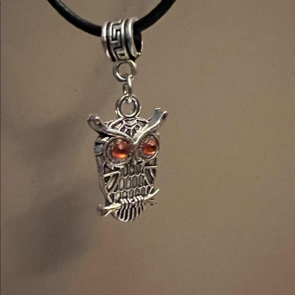 NWT Owl and Scarecrow Necklace & Earrings Set
